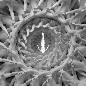 cc微博至尊版舞蹈
