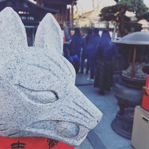 cc微博至尊版舞蹈
